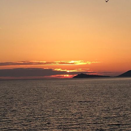 Villa Ariel Luštica Dış mekan fotoğraf