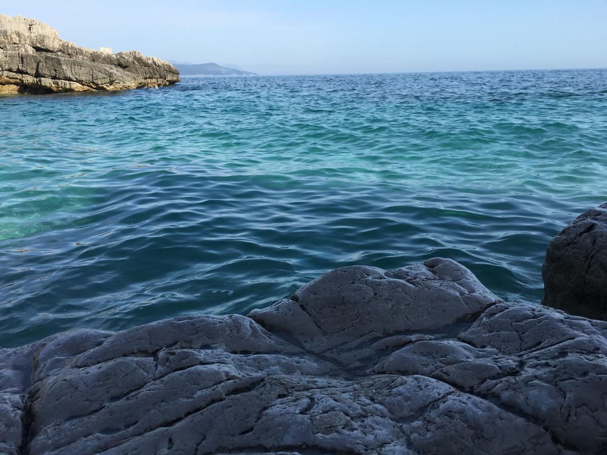 Villa Ariel Luštica Dış mekan fotoğraf