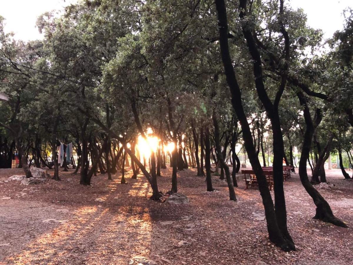 Villa Ariel Luštica Dış mekan fotoğraf