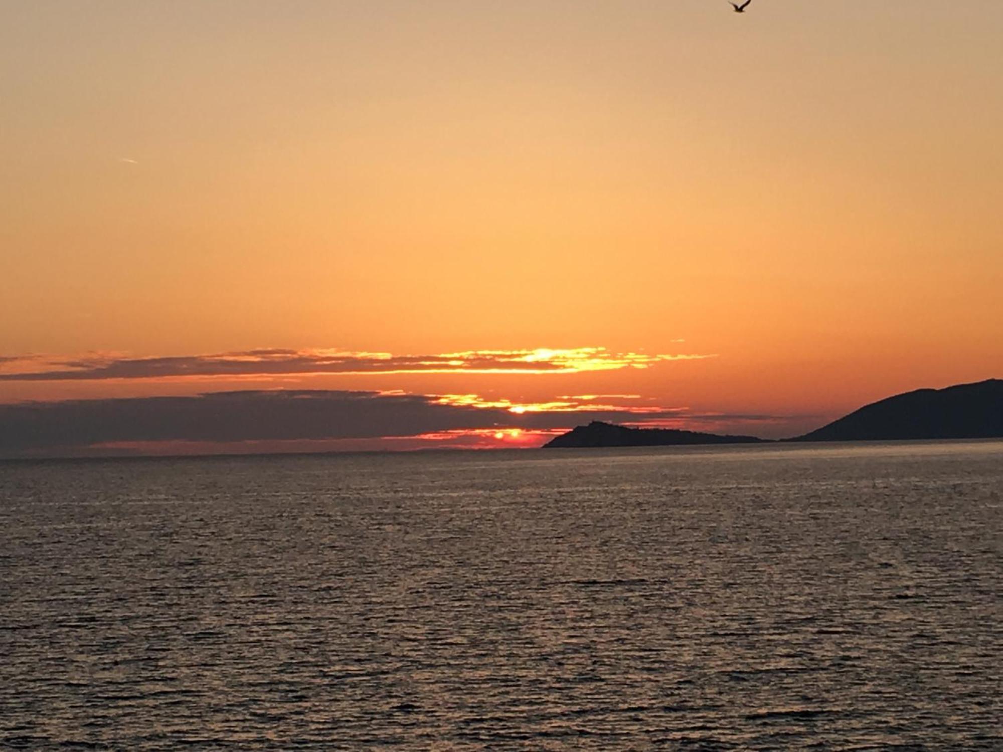 Villa Ariel Luštica Dış mekan fotoğraf